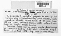Puccinia aecidiiformis image